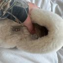 UGG Platform Slipper Photo 3