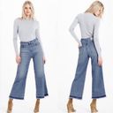 AG Adriano Goldschmied  Yvette High Rise Wide Leg Ankle Jeans Sz 30 Photo 1