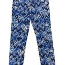 Francesca's Francesca’s Collection Ikat Blue White Skinny Pants Size 29 Style FR001T2 Photo 0