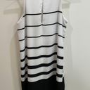 BB Dakota Black And White Striped Dress Photo 1