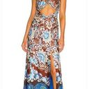 Alexis  Nisa Dress in Brun Blossom Photo 0
