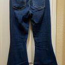 Vervet Flare Jeans Photo 1