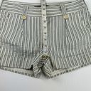 BCBG Maxazria Blue Striped Low Rise Shorts Size 0 Pleated Front Cuffed Photo 5