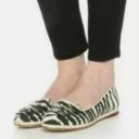 Charlotte Olympia Kitty Cat Capri Zebra Espadrille Flats, EU 37.5 US 7-7.5 Photo 12