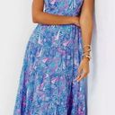 Lilly Pulitzer  Jenette Maxi Dress Photo 1