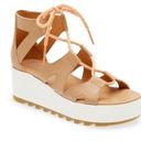 Sorel  Womens 9 Cameron Platform Gladiator Sandal in Honest Beige/Gum NEW Photo 0