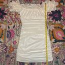 Camila Coelho Revolve x  Eva Swiss Dot Mini Dress New Size Small Photo 15