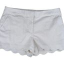 The Loft  The Riviera Short White Scalloped Hem Women's Size 6 Photo 0