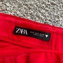 ZARA Skirt Photo 2