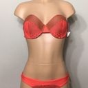 Vanilla Beach  bikini. L- bottom/XL- top NWT Photo 0