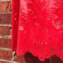 Show Me Your Mumu Vibrant Red  Risque Mesh & Embroidered Lace Slip Dress Photo 7