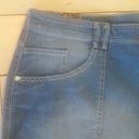 Gloria Vanderbilt Women's 22W Distressed Stretch Shorts  70's esque Photo 2