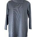 Christopher & Banks Christopher Banks Size XL Tunic Sweater Cowl Neck Gray Long Sleeve Pullover NEW Photo 0