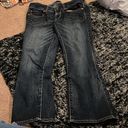 American Eagle  artist crop jeans 8 Photo 1