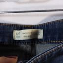 J.Jill  Smooth Fit Slim Ankle Blue Jeans Size 12 Photo 5