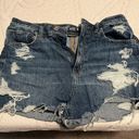 American Eagle Shorts Photo 0