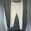 Theory  Khaki Trouser Pants Size 6 Photo 1