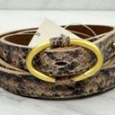 Talbots  Snake Print Embossed Skinny Genuine Leather Belt Size Small S Photo 0