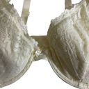 Jones New York  Cream Lace Underwire Bra -36D Photo 3