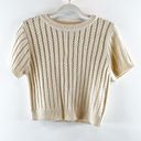 Elodie  Short Sleeve Crochet Knit Cropped Sweater Tee Shirt Tan Beige Small Photo 1