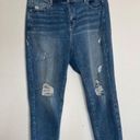 Lane Bryant  distressed high rise straight jeans Photo 0