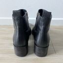 Everlane  Zip up leather ankle booties 8 Photo 3