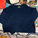 American Eagle Outfitters Sweater Photo 0