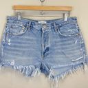 AGOLDE  Parker Vintage Cutoff Shorts in Swapmeet Size 31 Photo 2