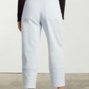 Everlane Utility Barrel Pants Photo 7