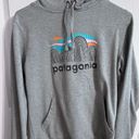 Patagonia Graphic Hoodie Photo 0