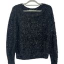 Krass&co NY& Design Studio Fluffy Eyelash Knit & Metallic Sequin Pullover Sweater NWT Photo 0