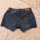 Levi Strauss & CO. Signature Levi Strauss High Rise Jean Shorts Photo 3