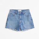 Abercrombie & Fitch High Rise 90s Relaxed Cutoff Jean Shorts Photo 2