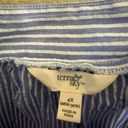 Terra & Sky  Blue Striped Blouse   Size 4X Photo 2