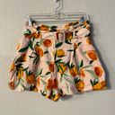 Parker  100% Linen Orange Novelty Graphic Shorts Belted High Rise Womens size 6 Photo 1