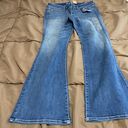 American Eagle Denim Jeans Kick Boot Photo 0