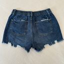 Aerie Denim Shorts Photo 1