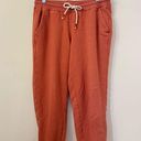 Marine layer  Classic Tri-blend Fleece Rosewood Coral Sweatpants Joggers Size M Photo 1