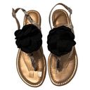 BCBGeneration  sz 7 gold sandals w/black flower & snake print straps GUC Photo 0