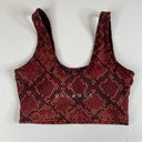 Balance Athletica  Red Snakeskin Print Sports Bra Small Photo 2