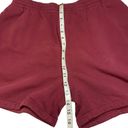 Daydreamer  Boyfriend Sweat Shorts Size L Photo 2