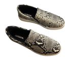 Soda Snake Print Sneakers Sz6 Photo 1