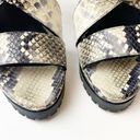 ALLSAINTS NWT All Saints Sienna Snakeskin Printed Leather Buckle Heeled Sandal 8 Photo 2