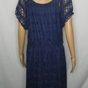 Trixxi  Dark Blue Floral Lace Lined Mini Dress 1X Photo 11