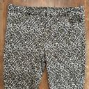 American Eagle  Leopard Print High Rise Jeggings Next Level Stretch Skinny Sz 22 Photo 5