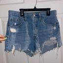 Levi Strauss & CO. Levi Strauss Denim Shorts Photo 0