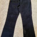 Tommy Hilfiger  Dark Brown Cords Size 12 Photo 0