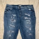 Lane Bryant  Distressed Size 24 Jeans Photo 2