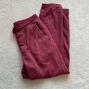 Patagonia  Burgundy Sweatpants Size Small Photo 0