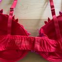 Frederick's of Hollywood Fredrick’s Of Hollywood Red And Pink Floral Ribbon Front Bra Size 36C Photo 7